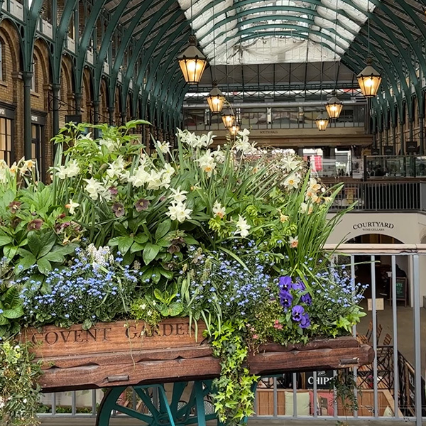The flower display at Covent Garden piazza